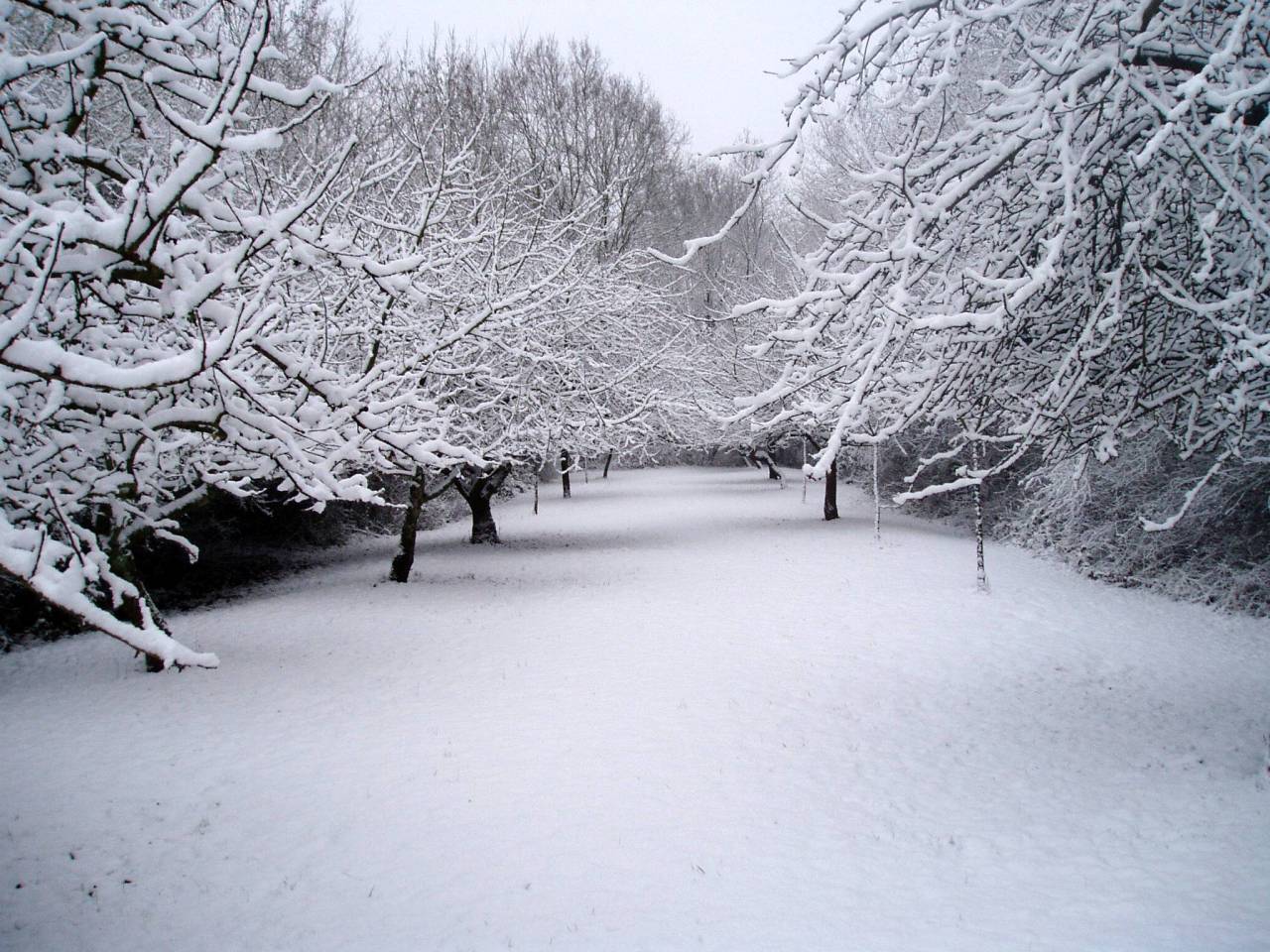 Download paysage en neiger